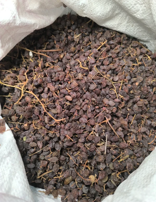 کشمش آفتابی درگز