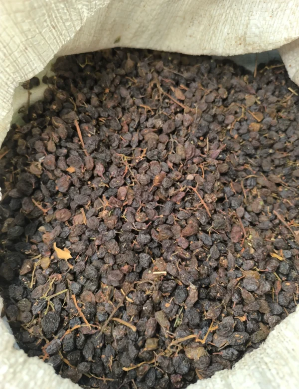 کشمش آفتابی درگز