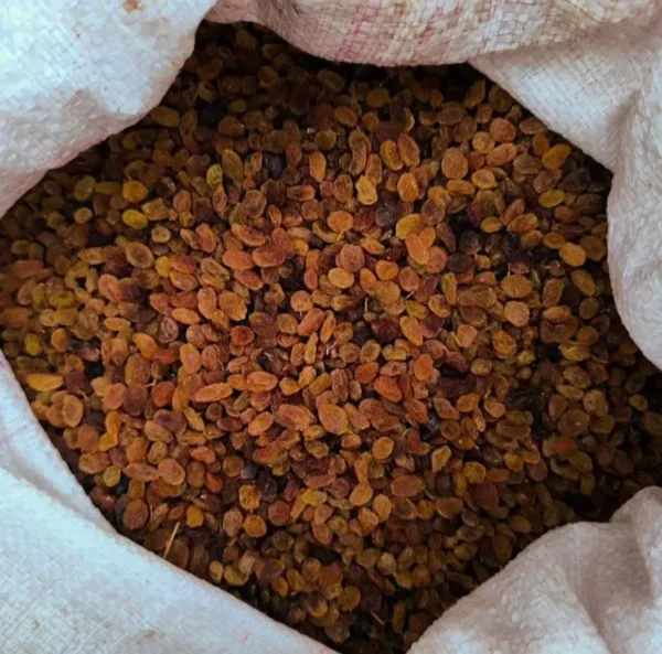 کشمش پلویی